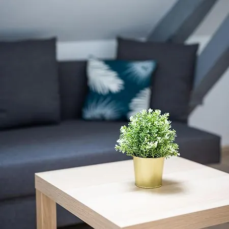 Nouveau In Life Family Netflix/ 5 Min Gare * Troyes